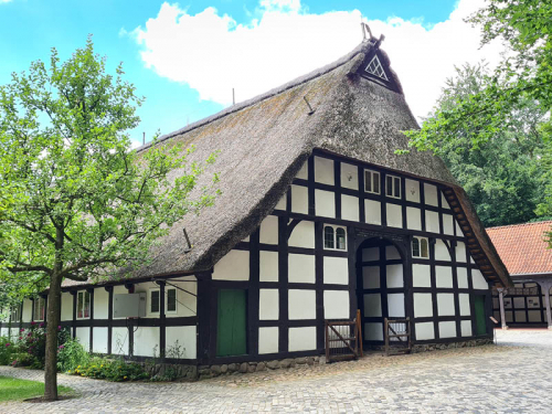 Bild vergrößern